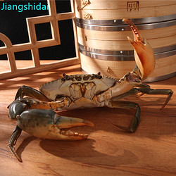 jiangshidai 江食代 三门青蟹 鲜活 肉蟹公蟹（5-6两/只）3只 肉鲜少黄螃蟹生鲜水产礼盒装