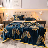 Duolanshi 多兰诗 毛毯 加厚法兰绒毯子云貂绒150*200cm