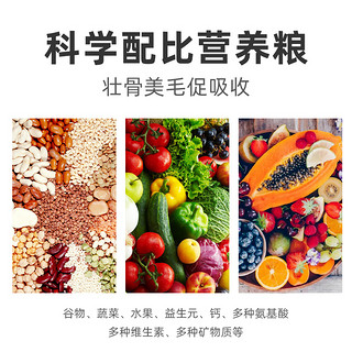 卡卡夫子 训练奖励专用鹦鹉零食冻干水果蔬菜补充维生素食物营养品