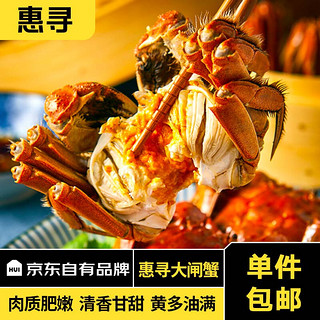 惠寻 京东自有品牌 大闸蟹公4两母3两4对8只 鲜活螃蟹生鲜水产去绳足重