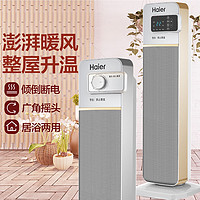 Haier 海尔 电暖器2011家用立式速热暖风机居浴便携定时遥控省电取暖器