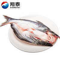 XIANGTAI 翔泰 海南开背巴沙鱼250g/条 生鲜鱼类 烤鱼 海鲜水产