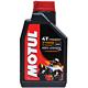 MOTUL 摩特 7100 4T 摩托车机油 全合成机油 10W40 1L