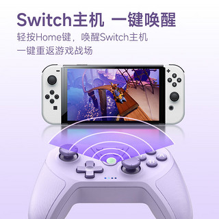 易速马EasySMX 易速马Switch游戏手柄 T37丁香紫