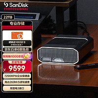 SanDisk professional 闪迪大师 极客致捷22TB企业级桌面移动硬盘