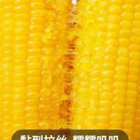 黏玉米棒 1根