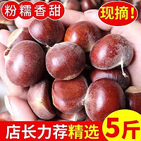 绿鲜森板栗新鲜丹东野生现摘应季蔬菜毛栗子 2.5kg（大果精选）