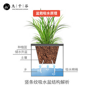 九千谷 盆栽 办公室桌面绿植小盆栽 绿意盎然 盆栽组合