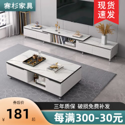 赛杉 电视柜简约现代小户型客厅家用电视机柜轻奢落地柜茶几电视柜组合