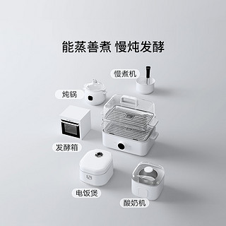 Xiaomi 小米 MI 小米 电蒸锅12L