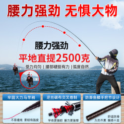 浪华 钓鱼竿全套装鱼竿新手钓鱼装备渔具用品大全溪流竿初学者手杆一套