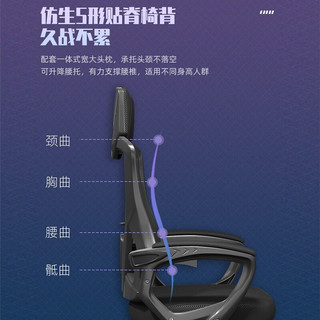 锦汐 电脑椅家用办公椅子靠背人体工学椅 白框灰网