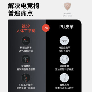 锦汐 电脑椅家用办公椅子靠背人体工学椅 白框灰网