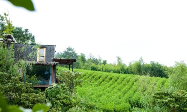 莫干山首家国际品牌,玩转1350亩度假山谷!莫干山都喜天丽酒店 森林木屋1晚+双早+欢迎水果+户外骑行体验+迷你高球亲子挑战等