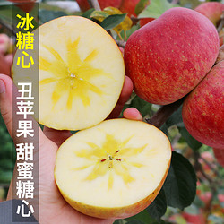 昭通苹果 新果云南丑苹果9斤（80mm左右） 冰糖心稀有水果礼盒整箱