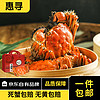 惠寻 京东自有品牌 鲜活大螃蟹 现货 生鲜礼盒 3.0-3.3公2.0-2.2母4对8只