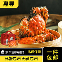 惠寻 京东自有品牌 鲜活大螃蟹 现货 生鲜礼盒 3.3-3.6公2.2-2.5母4对8只
