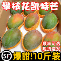 四川攀枝花凯特芒果新鲜10应季斤水果芒果整箱特大青忙果当季