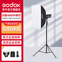 Godox 神牛 闪客400WIIM 闪客二代单灯套装400WIIM高速闪光灯 400W摄影灯 8000快门连拍10张动态摄影棚