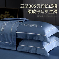 南极人纯棉枕头 枕套48x74cm一对装全棉枕巾枕芯套酒店高级双人枕头套 宾利兰