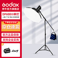 Godox 神牛 DP600WIII三代单灯套装 影室闪光灯摄影闪光灯摄影棚人像家具珠宝拍照摄影器材600W闪光灯