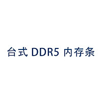 TOPMORE 达墨 台式DDR5内存条高容量 DDR5颗粒 镁光颗粒大内存普条台式机内存条