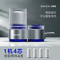 DEKEXI 德克西 净水器水龙头净水器不锈钢机身净水器家用过滤器净水龙头