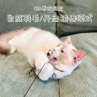 CFA赛级逗猫棒猫玩具自嗨解闷长杆羽毛耐咬可替换头猫咪用品大全
