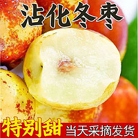 奶萝 山东沾化冬枣 5斤装