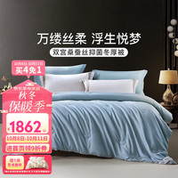 富安娜 FUANNA家纺  蚕丝被100%双宫桑蚕丝被冬被子母被四季保暖被芯 冬被 152*210cm