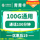 中国移动 青青卡 19元月租 （100G国内流量+100分钟通话）赠送手机快充线