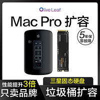 MacPro a1481扩容固态硬盘支持2013垃圾桶MQGG2 MD878扩容2t nvmeSSD 1TB 5年联保