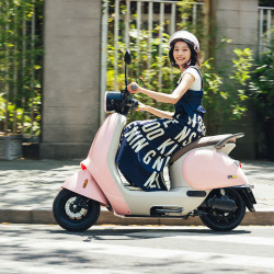 【省500元】九号电动车_ninebot 九号 q系列 q80c 电动轻便摩托车 jh