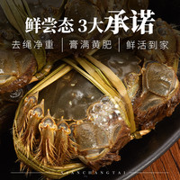 鲜尝态 大闸蟹螃蟹鲜活2.5-2.7母 3.5公 5对10只湖蟹河蟹