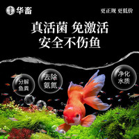 华畜硝化细菌鱼缸用净水剂养鱼净化水质稳定剂分解鱼粪消化活菌液