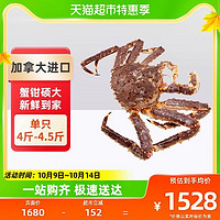 渔传播 顺丰包邮渔传播鲜活帝王蟹进口单只4斤-4.5斤新鲜海鲜水产