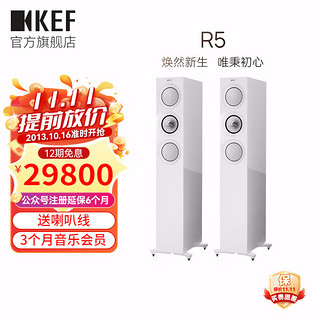 KEF R5 家庭影院 HiFi高保真扬声器 同轴三分频音响 2.0声道家用客厅电视音箱发烧无源落地主箱 1对 白色