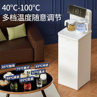CHANGHONG 长虹 茶吧机 家用双出水口饮水机智能遥控大屏温显冷热型CYS-EC89D