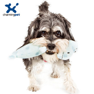 CharmingPet 狗狗玩具宠物用品毛绒玩具泰迪金毛耐咬磨牙 狗玩具