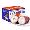 宁葛红 京地达哈蜜奶芋冰糖薯4.5-5斤精品中果 沙地种白玉心蜜薯爆甜香糯