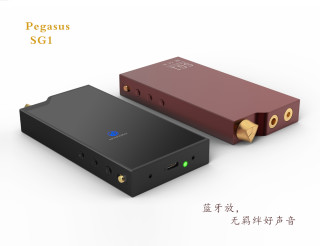 德森瑞 DETHONRAY Pegasus SG1便携蓝牙耳放