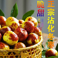 OIMG 山东沾化冬枣滨州特产 新鲜冬枣5斤装 果为12-16克（1斤约