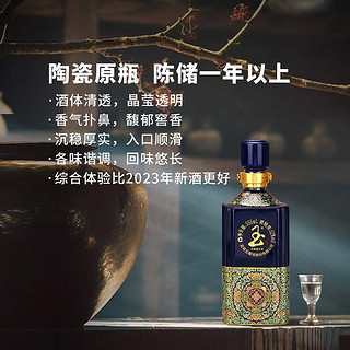 WULIANGYE 五粮液 52%vol 浓香型白酒 555ml*2瓶 双支装