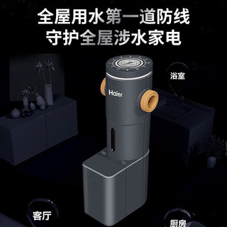 Haier 海尔 aier 海尔 超7T前置过滤器双涡轮反冲洗 大通量 HP45-智能自动冲洗
