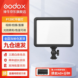 Godox 神牛 补光灯P120C摄影灯单反摄像机相机摄像灯影视拍照婚庆常亮灯光  P120C 标配