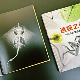 透视之眼：X光下的动物世界