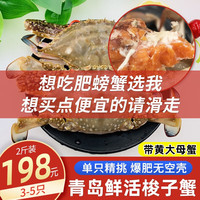海宏盈 青岛梭子蟹鲜活母蟹螃蟹海蟹飞蟹海鲜蟹类生鲜 红膏母蟹2斤4-5只
