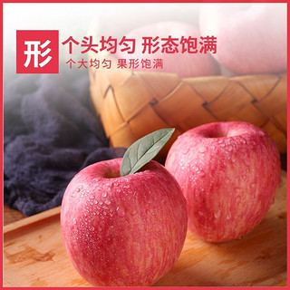 农鲜淘 陕西洛川苹果红富士12枚酸甜爽口水果新鲜采摘