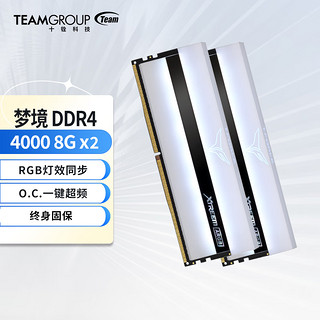 Team 十铨 幻镜系列 DDR4 4000MHz RGB 台式机内存 灯条 黑色 16GB 8GB*2 TF10D416G4000HC18JDC01