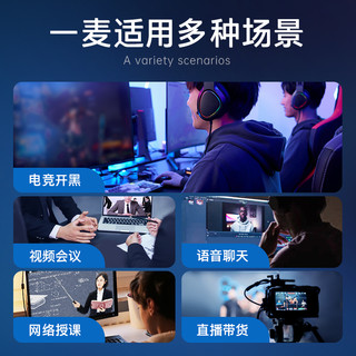 HP 惠普 麦克风电脑台式直播话筒游戏电竞会议收录音降噪usb家用网课